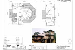 Camelia-Loft